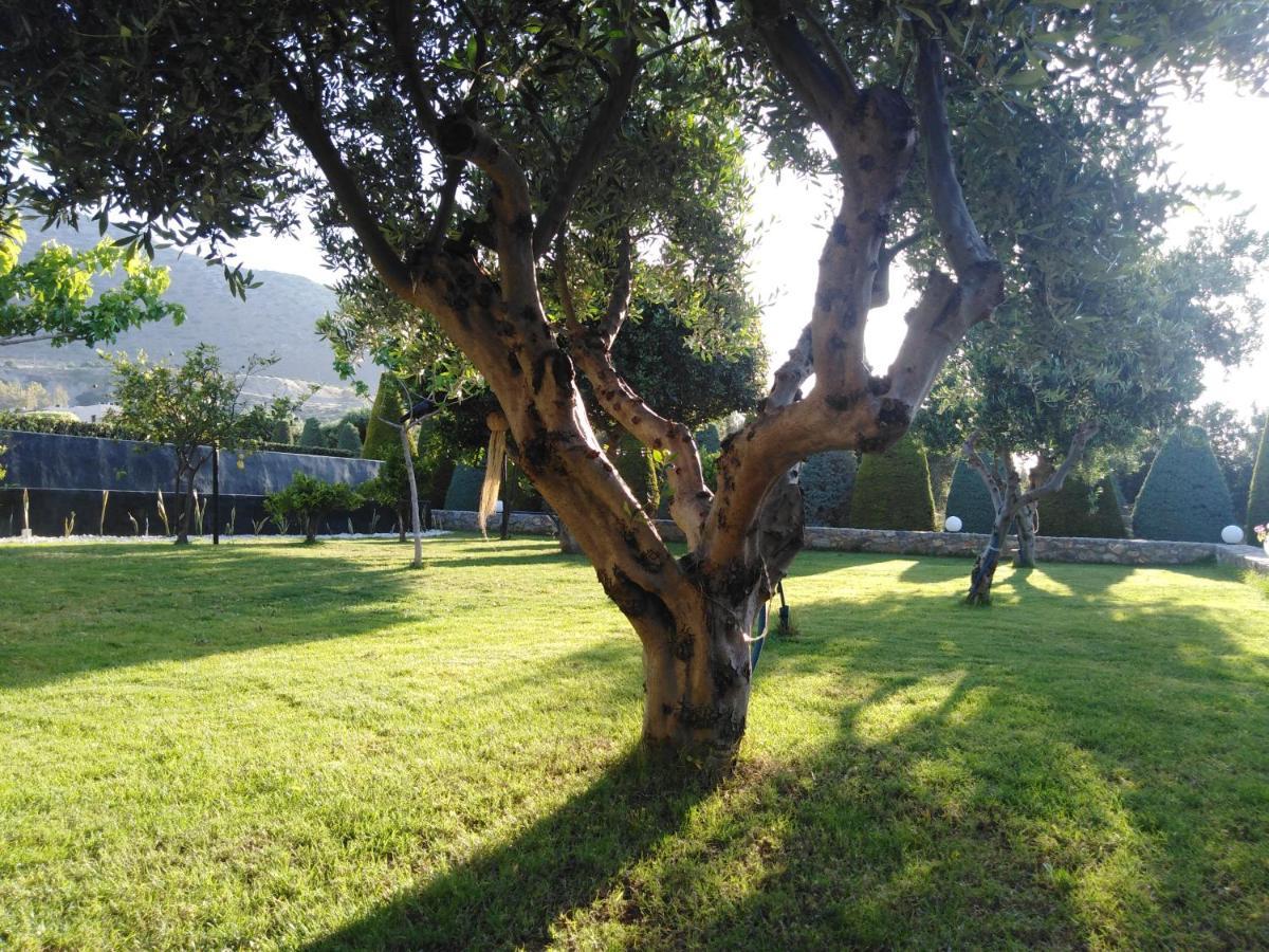 Golden Crest Villa Hersonissos  Exterior foto